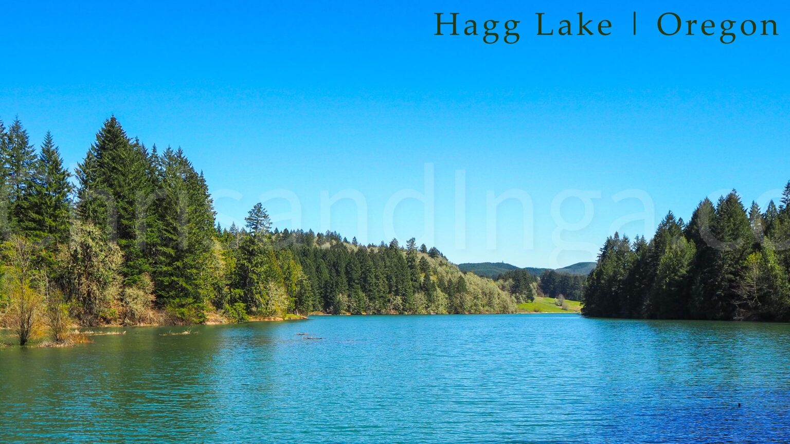 Hagg Lake Oregon Chris and Inga's