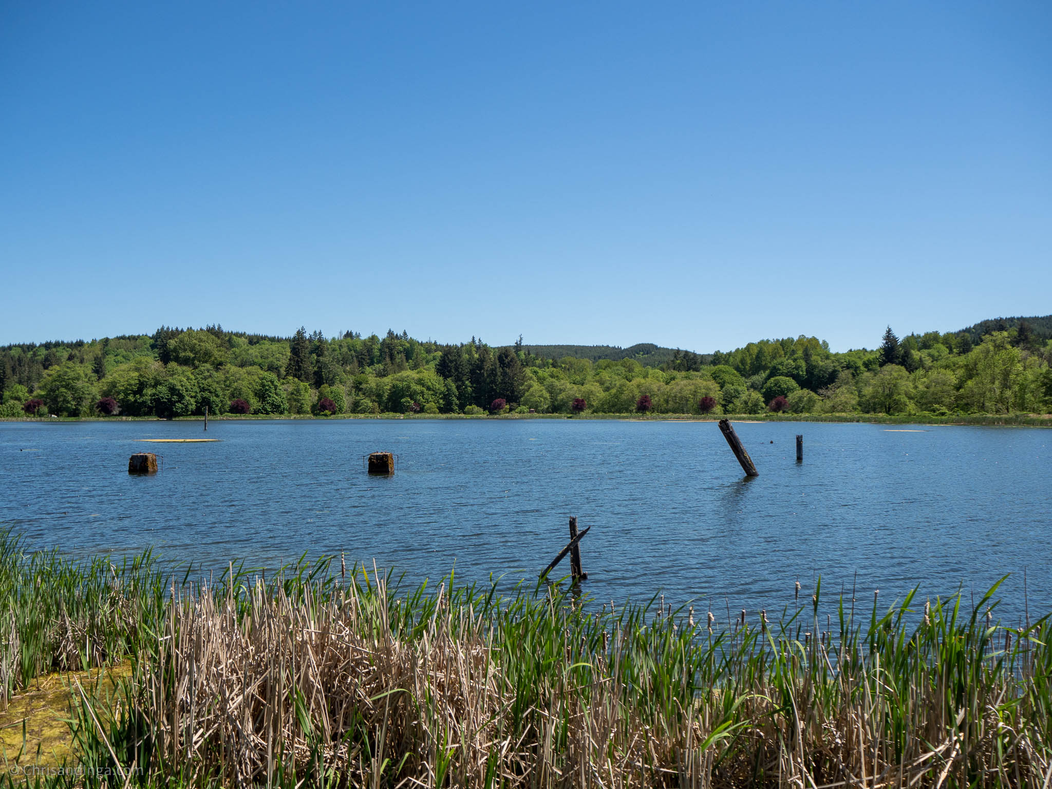 Chris and Inga | Visit Vernonia Lake