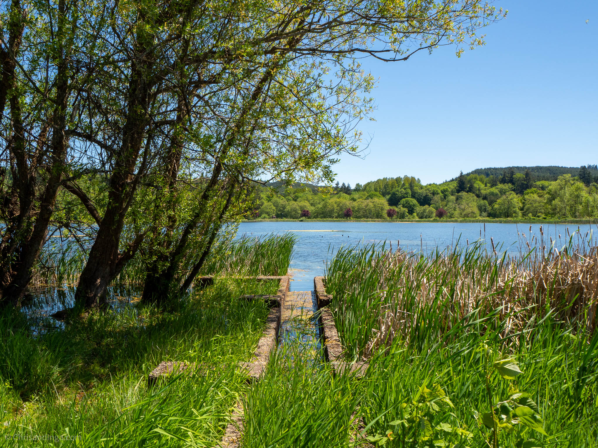 Chris and Inga | Visit Vernonia Lake