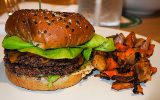 Vegan Double Cheeseburger | True Food Kitchen | Las Vegas